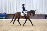 SBM_003252