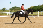SBM_007004