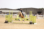 SBM_002958