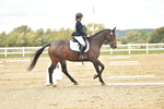 SBM_002464