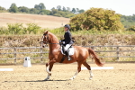 SBM_001664