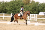 SBM_008673