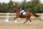 SBM_012013