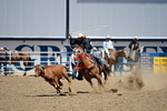 3HRodeo8-11-25_PRCASteer_04575_