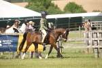 SBM_09143