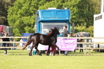 SBM_00778