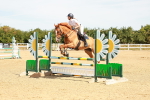 SBM_002985