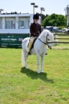 SBM_07827
