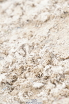 250420A-140326-01082