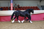 SBM_17405