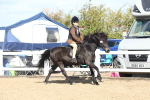 SBM_12291