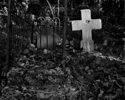 ABANDONED portfolio