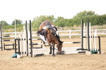 SBM_027013