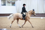 SBM_000323