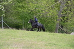 WJ6_1434