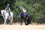 WJ6_9113