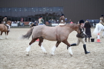 SBM_006166