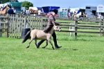 SBM_03569
