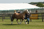 SBM_02048