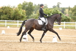 SBM_006799