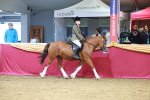 SBM_00741