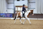 SBM_001581
