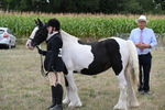 WJ6_5697