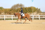 SBM_009067