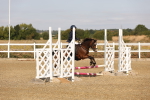 SBM_000229