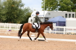SBM_00881
