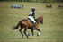 BVHT 140517  IXC -16