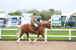 SBM_00228