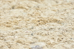 250719A-153114-06868