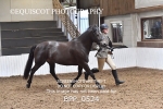 BPP_0524