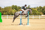 SBM_006410