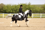SBM_007502