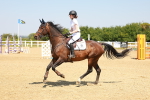 SBM_000782