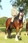 SBM_60012