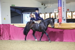Class L Side Saddle Champ portfolio