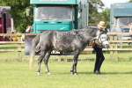 SBM_00732