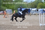 BPP_5856