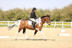 SBM_007897