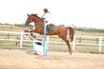 SBM_004360