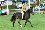 SBM_51819