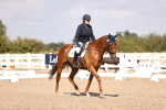 SBM_03656