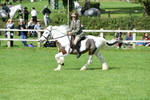 SBM_47018