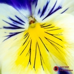 190327-untitled-1L4A0565-Edit