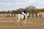 SBM_002783