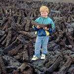 Young child holding a sod of turf, Co.Mayo, Ireland