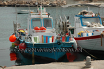 Cyprus Colour